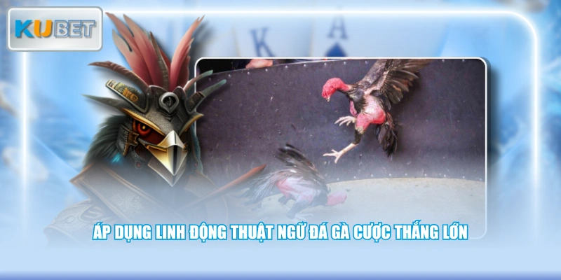 Áp dụng linh động thuật ngữ đá gà cược thắng lớn